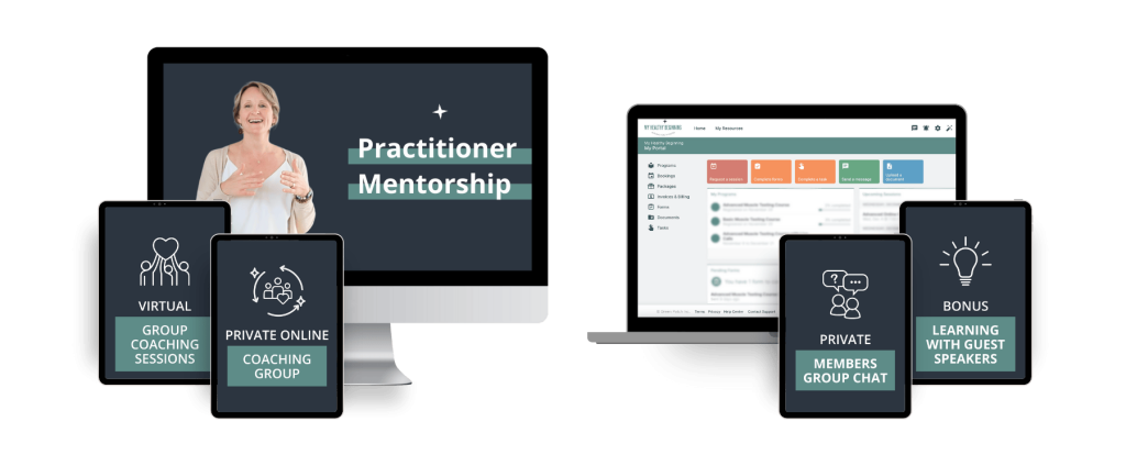Practitioner mentorship whats included