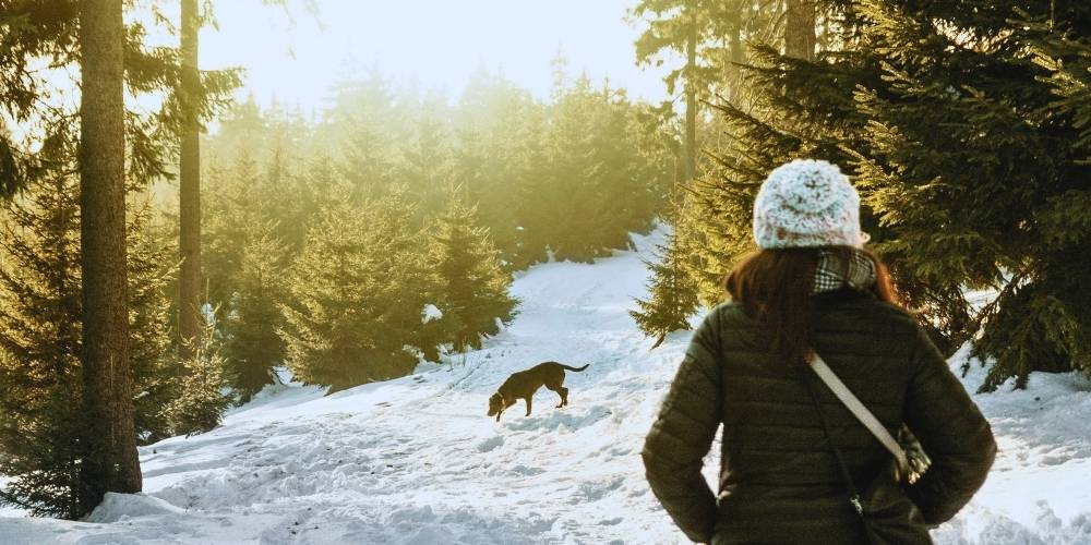Woman and dog walking along a snowy trail in the woods