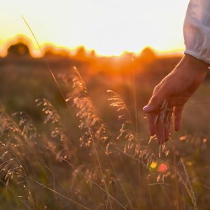 A peaceful woman walking in a field